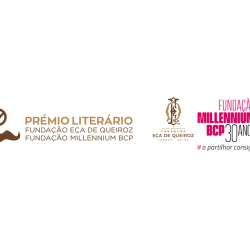 Novo Projeto (6)